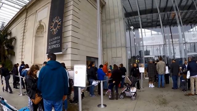San Francisco - California Academy of Sciences (TRAVEL GUIDE) | Episode# 11 смотреть онлайн