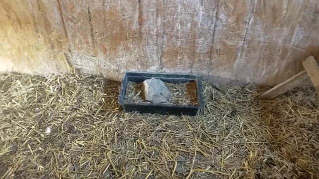 #529НОВЫЙ ГОД ВСТРЕТИЛИ/НОВЫЕ ДЕЛА И ЗАБОТЫ смотреть онлайн