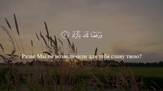 Сура Аш-Шарх. Смысловой перевод | Раад Мухаммад Аль-Курди смотреть онлайн