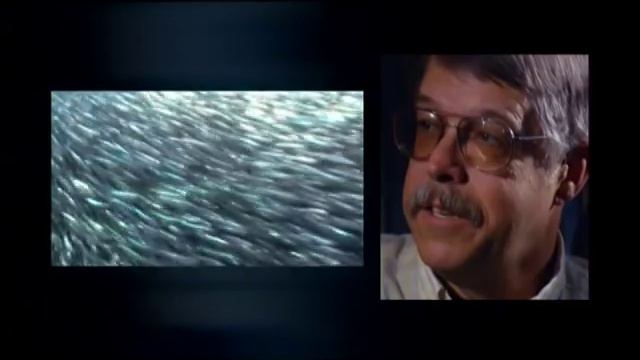 Part 9 Monster of the Deep - Animal X Natural Mystery Unit | Storyteller Media смотреть онлайн