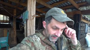 ✅ Откорм "Свино-банды" / Последний замер