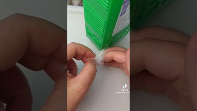 Кабира #капибара #укус смотреть онлайн