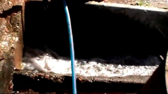Сорт помидора Зимняя Вишня смотреть онлайн