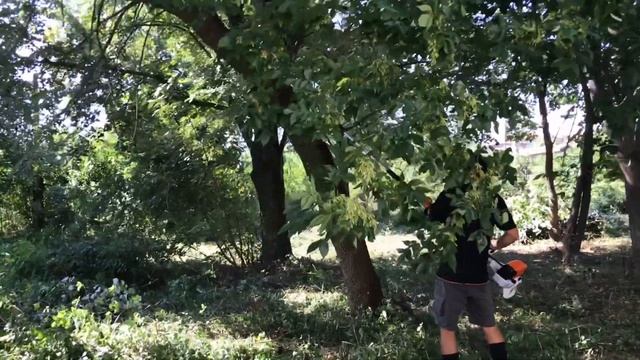 Рязане, косене и чистене в основно училище - STIHL - One Love смотреть онлайн