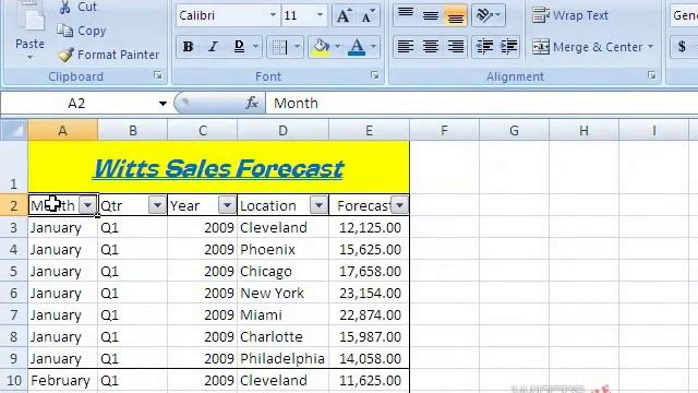 Editing Auto Filters in Excel 2007-Beginners смотреть онлайн