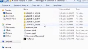 The Forest error crash