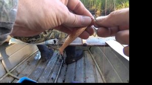 Спиннинг с Эдуардом Лобановым