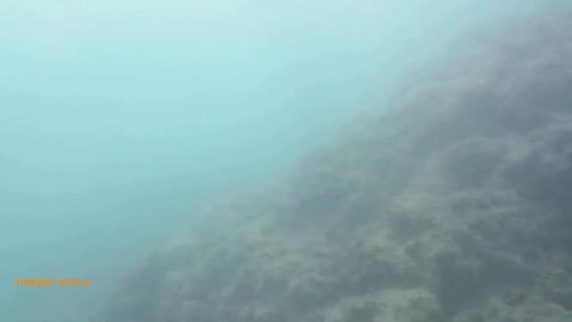 Diving In Peñiscola, Comunidad Valenciana, Spain.