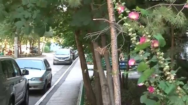 Кто в доме хозяин? 5.08.2015 смотреть онлайн