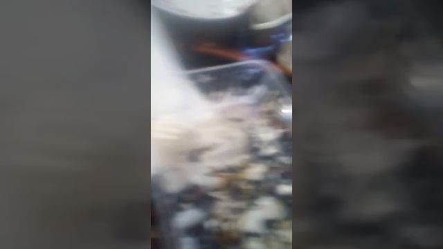 Как сделать как тель за 1мин из Коко колы и мороженое большой папа пломбир с каромелью смотреть онлайн