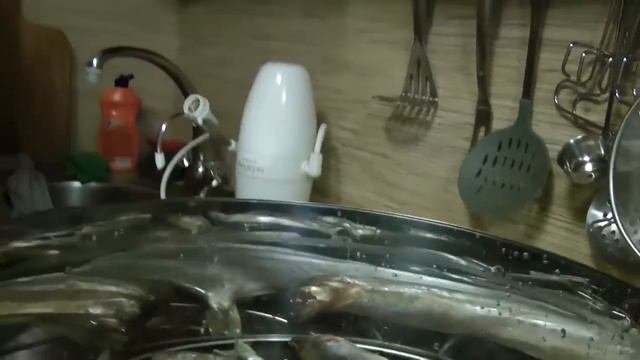 Коптильня «Магарыч» в Казахстане смотреть онлайн