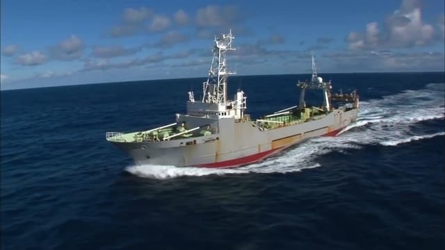 A Mysterious Ship Is Following The Sea Shepherds | Whale Wars смотреть онлайн