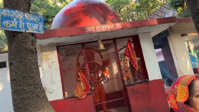 Mummy Ko Dara Diya Jungle Mein ? смотреть онлайн