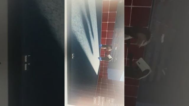 2 белки смотреть онлайн
