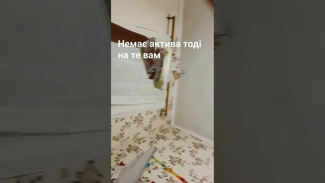 3 листопада 2023 р. смотреть онлайн