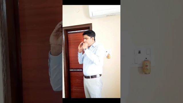 My Heart Will Go On Harmonica Titanic смотреть онлайн