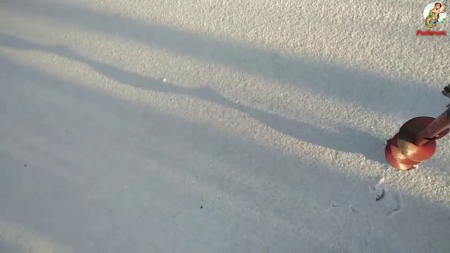 Как поймать Плотву зимой в январе.Где искать плотву,прикормка и приманки для плотвы в январе. смотреть онлайн