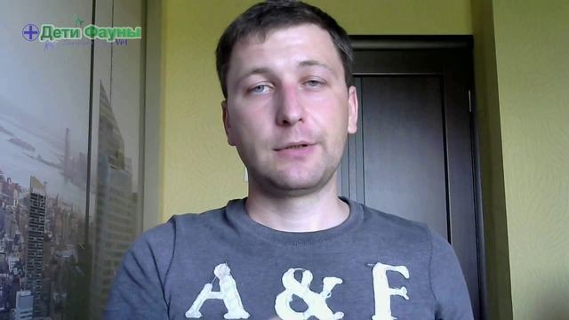 Сухой корм. Можно ли смешивать сухой корм? смотреть онлайн