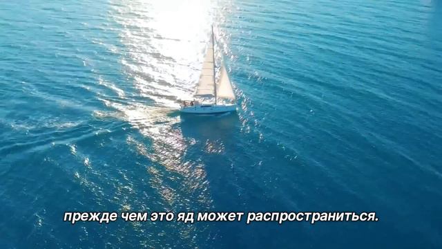 "Раздражение". 22 августа. День за днем в Ал-анон. Ежедневник для созависимых смотреть онлайн