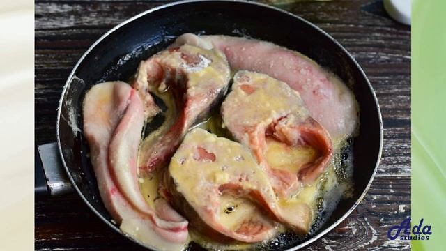 Зоопарк и Дикие Животные