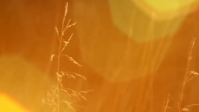 Судьба нам лишних не даёт /стихи Марины Волнорезовой/ смотреть онлайн