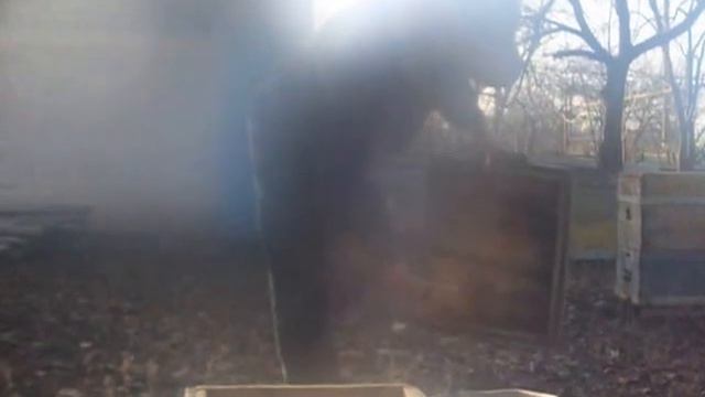 Чистка ульев не везде обязательна смотреть онлайн