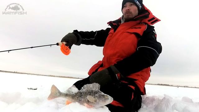 Ловля ОКУНЯ зимой на балансир и блесну. Тактика ловли. Как поймать окуня. Игим. Kamfish смотреть онлайн