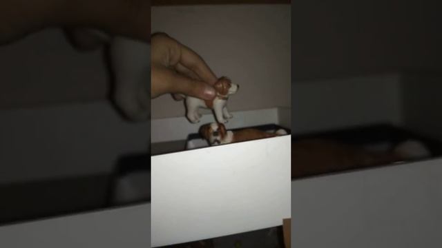 Обзор на самодельный приют для собак смотреть онлайн