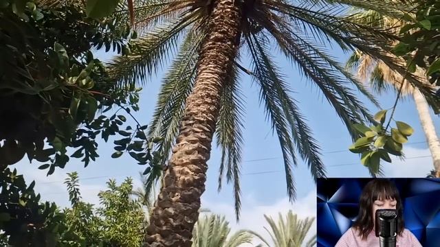 Этой свадьбе не быть - свекровь голосила на всю округу. Невеста застыла на месте и взяв микрофон... смотреть онлайн