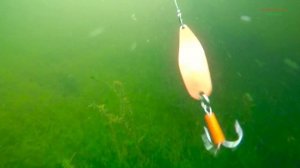 ловля щуки на колебалки и вертушки летом 2017