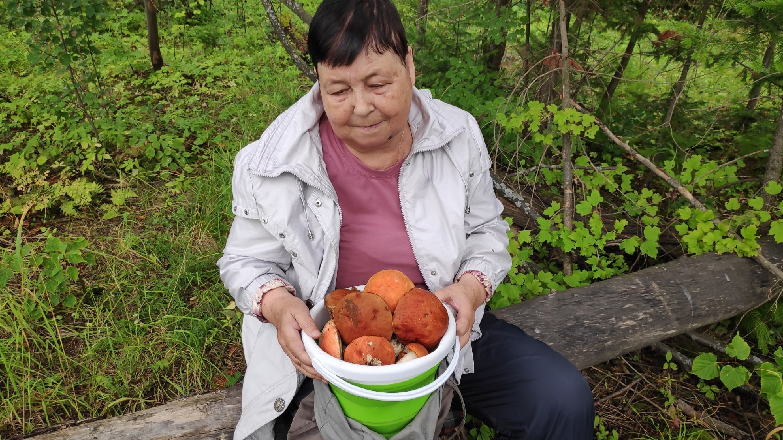 По грибы в лес. 12 авг 2022. Тихая охота в Перми смотреть онлайн