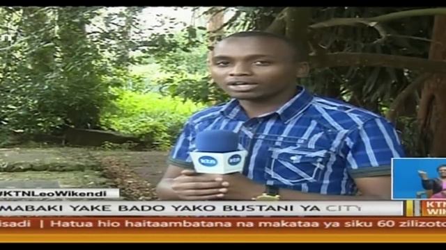 Mabaki wa mwili wa Joseph Murumbi bado yako bustani wa city смотреть онлайн