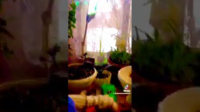 Леночка Желанкина. Город Брянск. Добрый вечер, друзья!!!?????❤️???? смотреть онлайн