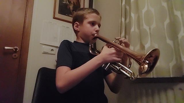 Super Trouper - Ásgeir Smári Darrason - 1 year of cornet playing (9yrs) смотреть онлайн