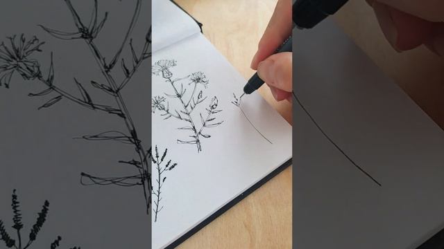 Рисуем линером и акварельными карандашами. смотреть онлайн