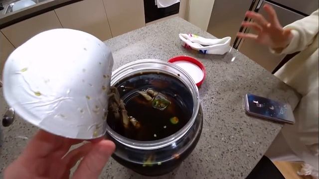 Зимние каникулы в Корее/ KOREA VLOG/