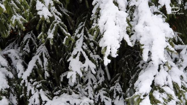 СКАЗКА НЕ ЗАКАНЧИВАЕТСЯ! Волшебная музыка ЗИМЫ