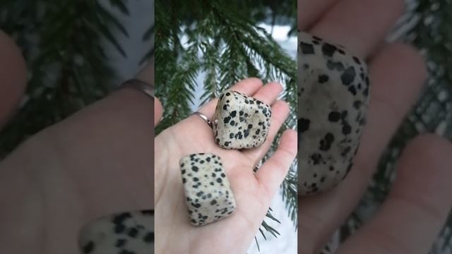 Ⓜ️Далматиновая Яшма✔️Камень Новой Жизни✨Магические Свойства Яшмы смотреть онлайн