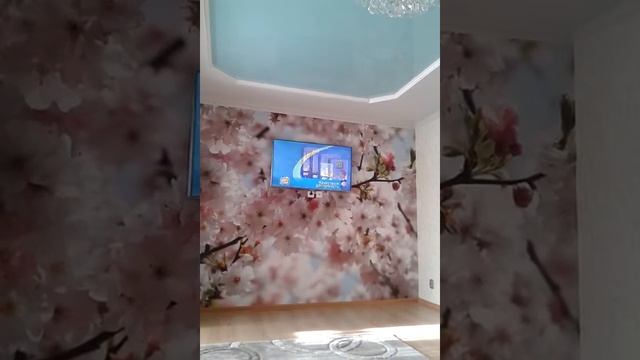 BabyStar подгузники смотреть онлайн