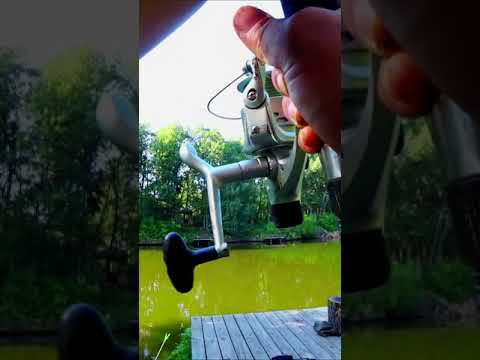 ХОРОШО ТАК ДАВИЛ! смотреть онлайн