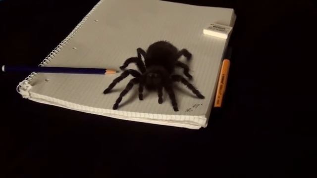 3D Spider Drawing AMAZING realistic illusion! смотреть онлайн