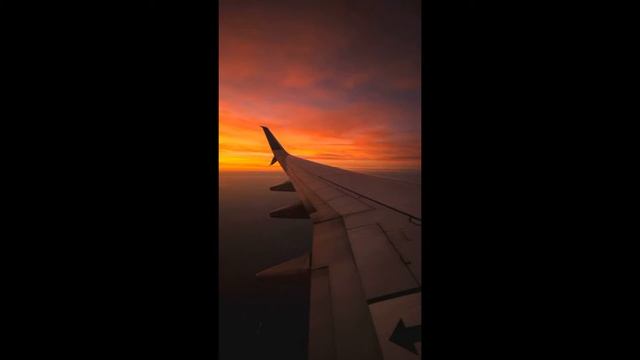 СПИ БАЮ БАЮ СПИ МОЯ ЛЮБИМКА смотреть онлайн