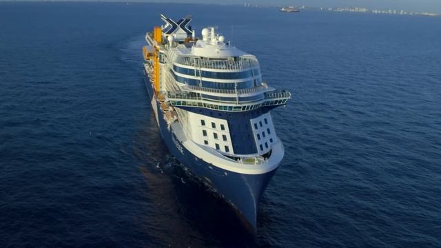 Booking Cruise -Should You Use a Travel agent or Book Direct? смотреть онлайн