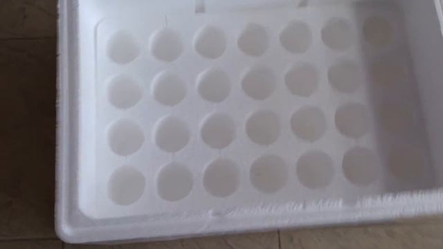 Вкладыш в термоконтейнер Вармбокс для перевозки стеклянных бутылей смотреть онлайн