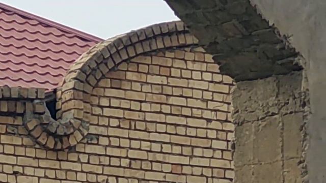 28 февраля 2024 г. смотреть онлайн
