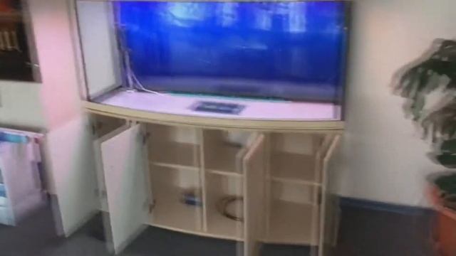 Аквариум ZelAqua панорамный смотреть онлайн