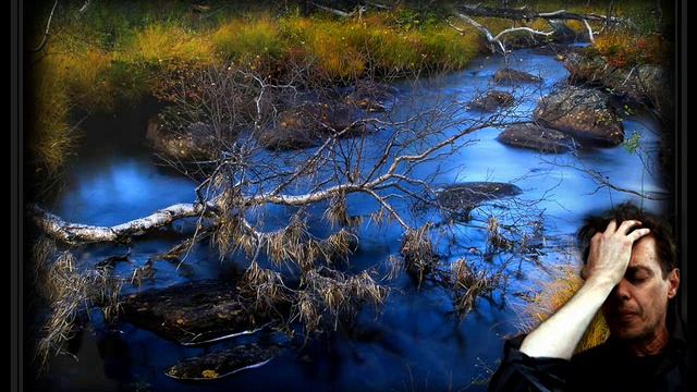 Я учусь ПРОЩАТЬ своих ВРАГОВ Сергей Гвоздика