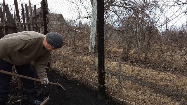Посадка гороха на даче. смотреть онлайн