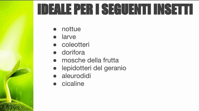 Decis Jet Insetticida: Guida all'uso e Dosaggio - Prezzi e Offerte in Vendita Online Gardenhome смотреть онлайн