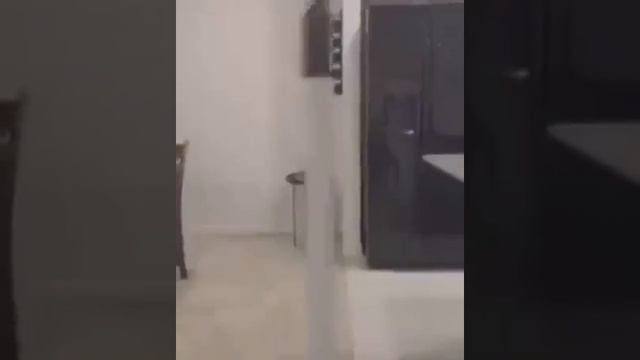 Идеальное сходство ?